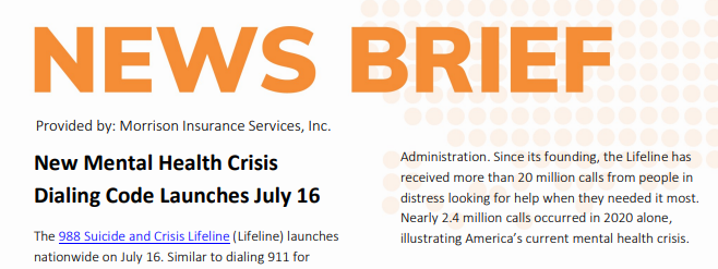 News Brief header